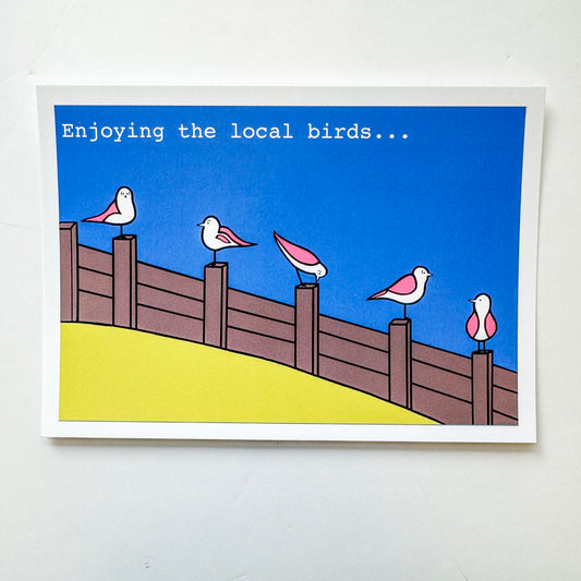 Birds On a Groyne Postcard