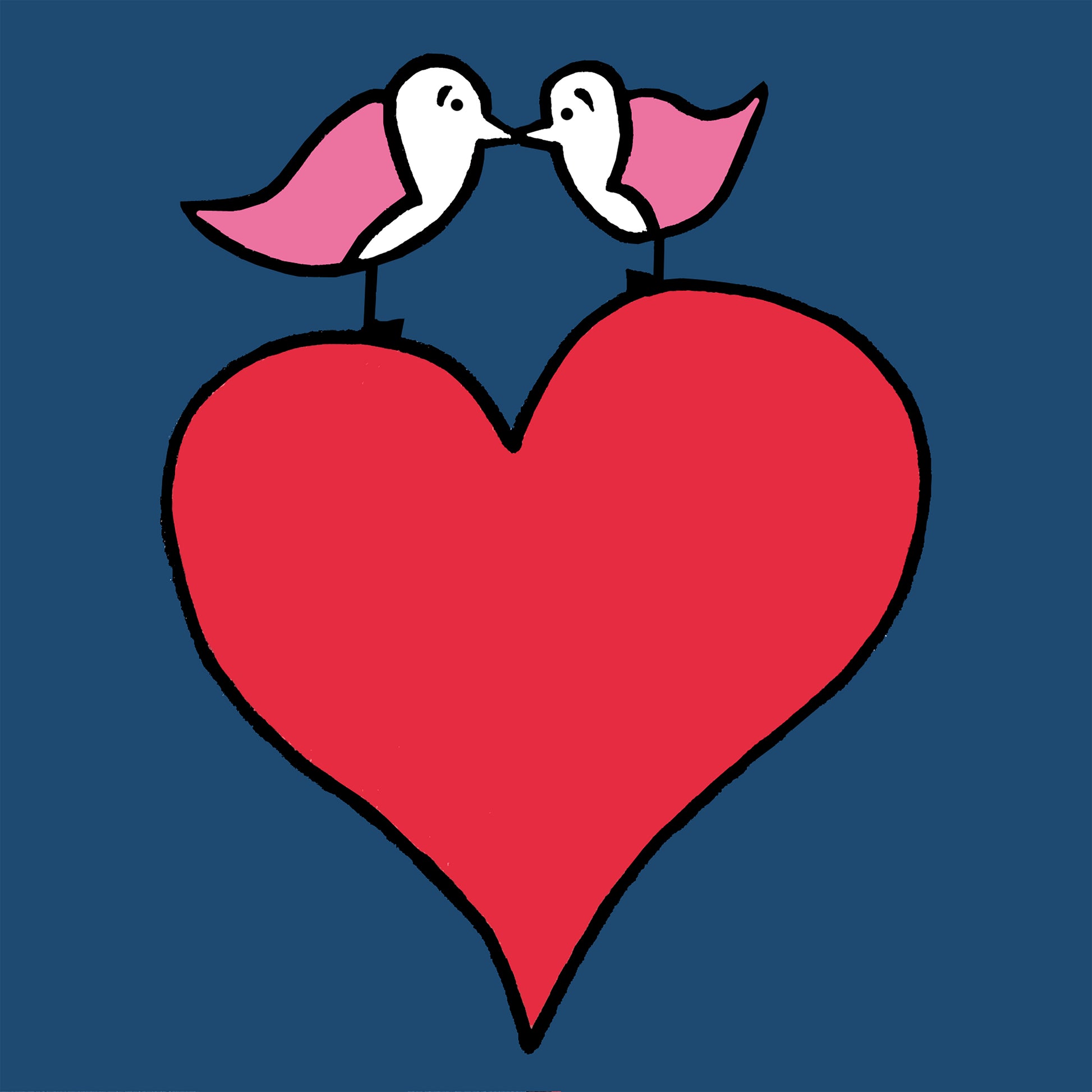 Two pink winged seagulls facing each other with beaks touching are on top a bright red heart. The background is a navy colour, all the details and shapes are outlined in thick black. The print is called my big heart.