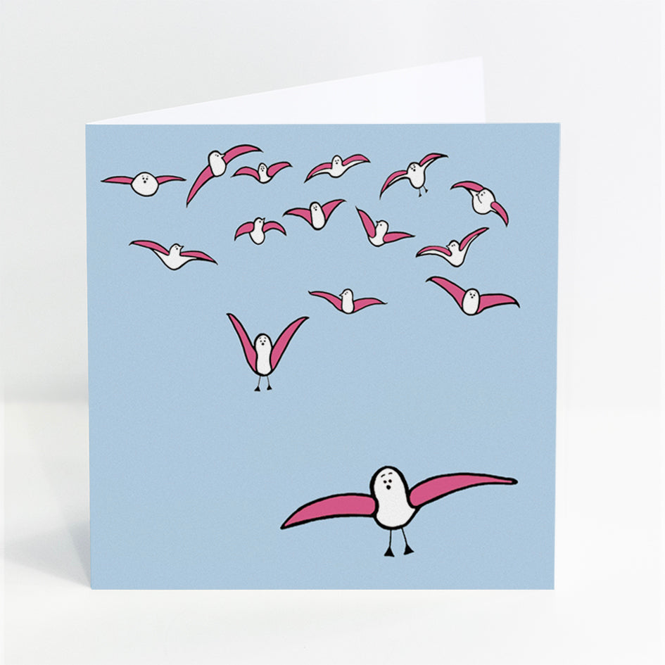 Windsurfing - Flying Seagulls - Card